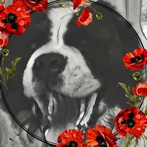 Meet your Posher, Leigh